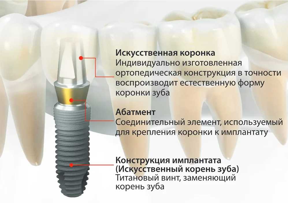 Почему стоит доверить лечение отделению ЛОР-стоматологии