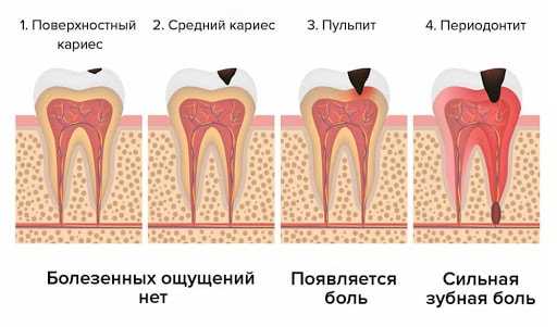 Ведущие стоматологи