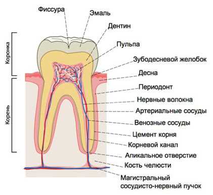 Преимущества «заморозки» в стоматологии: