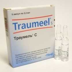Преимущества и эффективность использования Траумеля для лечения десен