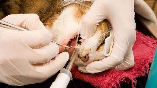 Причины болезней зубов